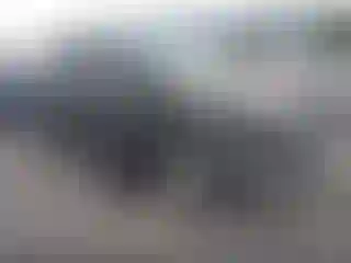 Vehicle Image- 2016 Ford Escape