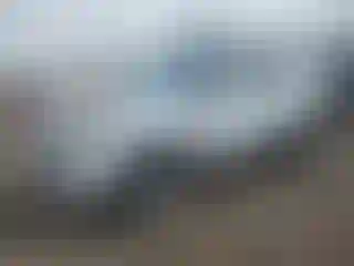 Vehicle Image- 2016 Ford Escape