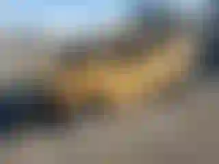Vehicle Image- 2016 Ford Escape