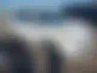 Vehicle Image- 2013 Ford Escape