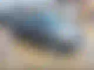 Vehicle Image- 2013 Ford Escape
