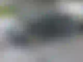 Vehicle Image- 2014 Ford Escape