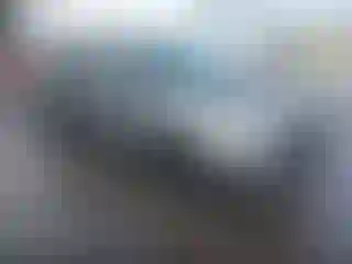 Vehicle Image- 2014 Ford Escape
