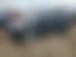 Vehicle Image- 2014 Ford Escape