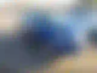 Vehicle Image- 2016 Ford Escape