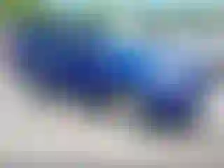 Vehicle Image- 2013 Ford Escape