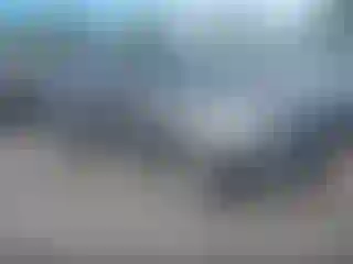 Vehicle Image- 2016 Ford Escape