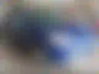 Vehicle Image- 2016 Ford Escape
