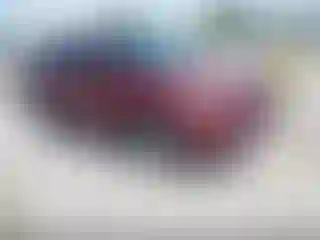 Vehicle Image- 2016 Ford Escape