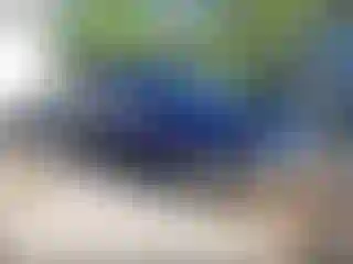 Vehicle Image- 2016 Ford Escape