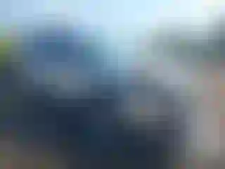 Vehicle Image- 2016 Ford Escape