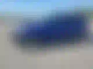 Vehicle Image- 2016 Ford Escape