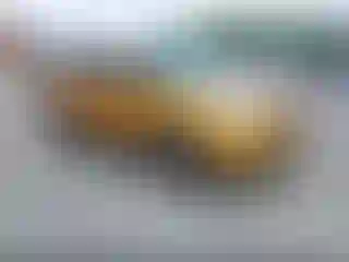 Vehicle Image- 2016 Ford Escape