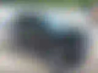 Vehicle Image- 2014 Ford Escape