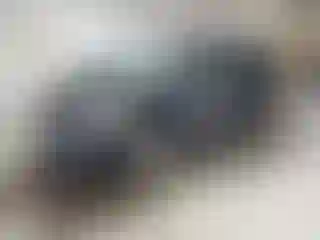 Vehicle Image- 2016 Ford Escape