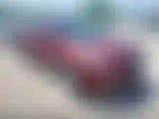 Vehicle Image- 2016 Ford Escape