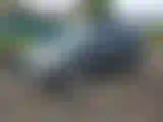 Vehicle Image- 2016 Ford Escape