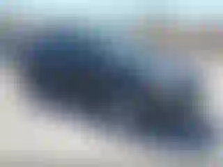 Vehicle Image- 2013 Ford Escape