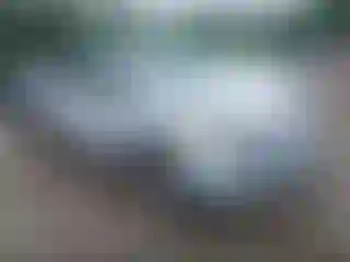Vehicle Image- 2014 Ford Escape