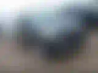 Vehicle Image- 2013 Ford Escape