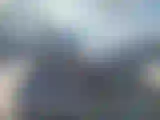 Vehicle Image- 2013 Ford Escape