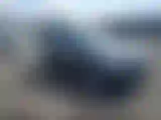 Vehicle Image- 2013 Ford Escape