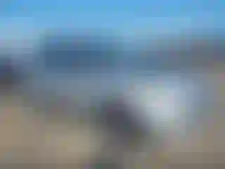 Vehicle Image- 2013 Ford Escape