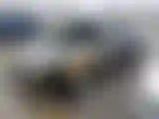 Vehicle Image- 2014 Ford Escape