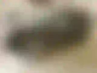 Vehicle Image- 2015 Ford Escape