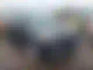 Vehicle Image- 2015 Ford Escape