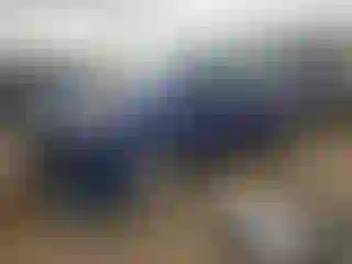 Vehicle Image- 2016 Ford Escape