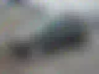 Vehicle Image- 2016 Ford Escape