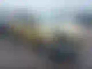 Vehicle Image- 2014 Ford Escape