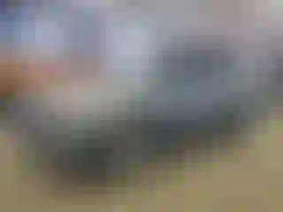 Vehicle Image- 2014 Ford Escape