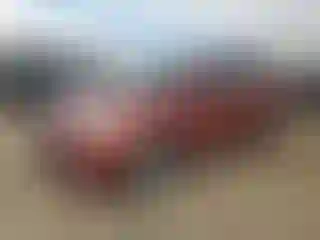 Vehicle Image- 2015 Ford Escape