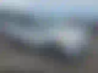 Vehicle Image- 2013 Ford Escape