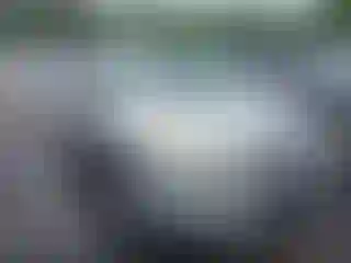 Vehicle Image- 2013 Ford Escape