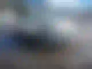Vehicle Image- 2014 Ford Escape