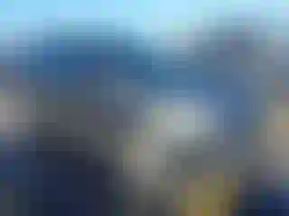 Vehicle Image- 2016 Ford Escape