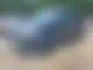 Vehicle Image- 2016 Ford Escape