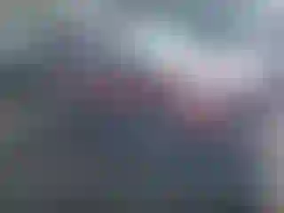 Vehicle Image- 2016 Ford Escape