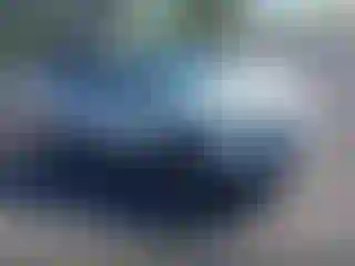 Vehicle Image- 2013 Ford Escape