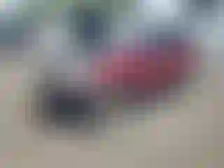 Vehicle Image- 2014 Ford Escape