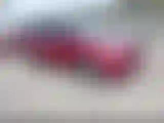 Vehicle Image- 2014 Ford Escape