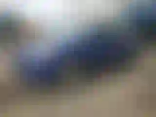 Vehicle Image- 2013 Ford Escape