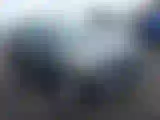 Vehicle Image- 2013 Ford Escape