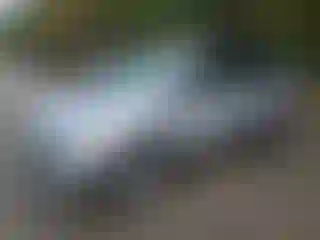 Vehicle Image- 2013 Ford Escape