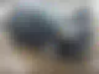 Vehicle Image- 2013 Ford Escape