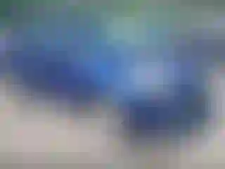 Vehicle Image- 2013 Ford Escape