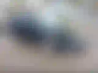 Vehicle Image- 2013 Ford Escape